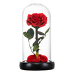 Everlasting Love: Premium Forever Rose